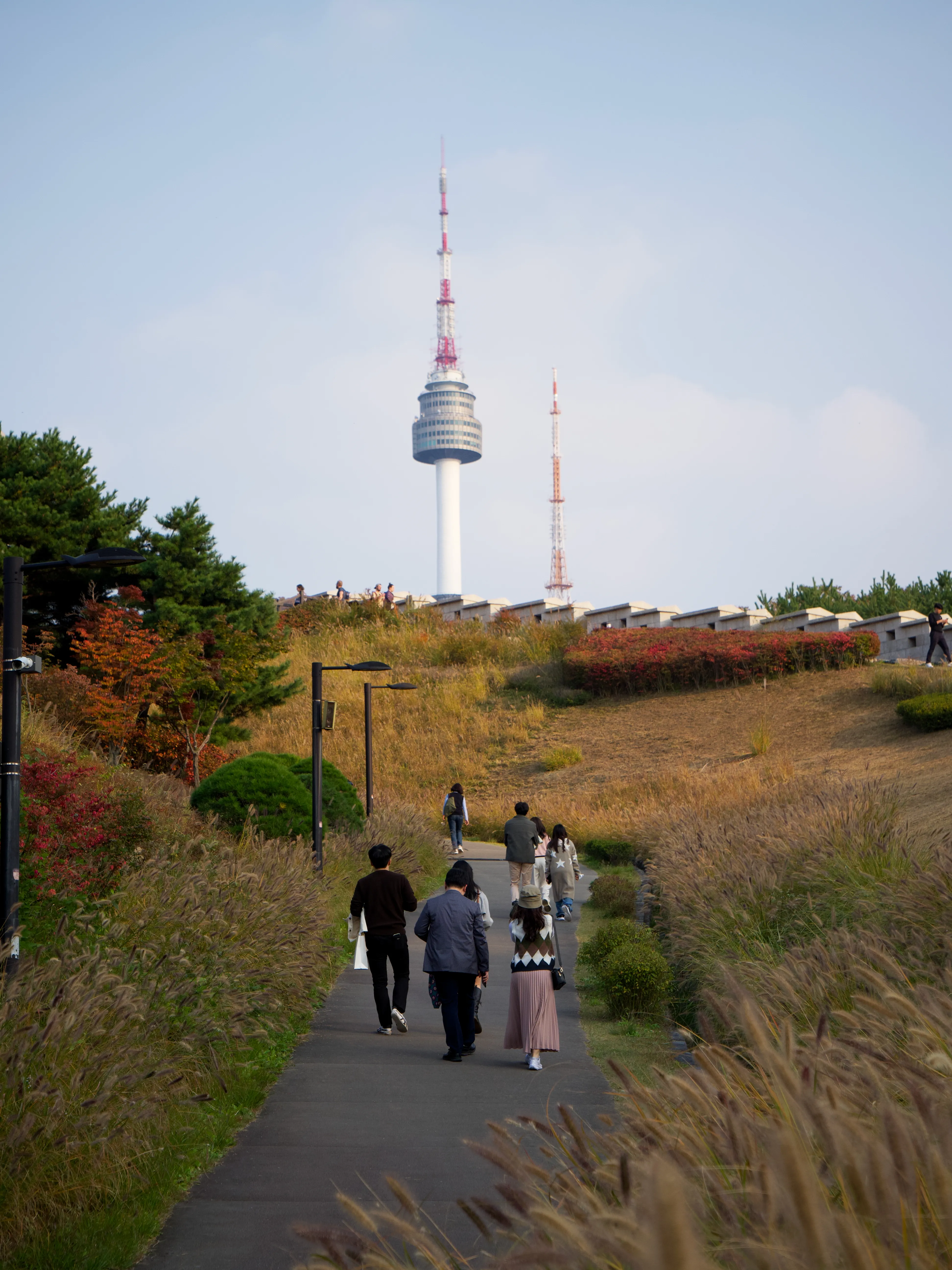 Autumn Foliage - Picture 3